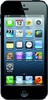 Apple iPhone 5 16GB - Моздок